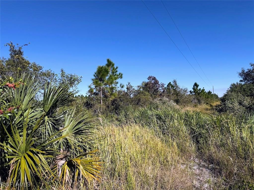 Siesta Avenue Labelle FL 33935 224050515 image1