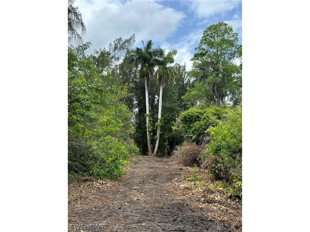 Singletary Street Other FL 34137 224049913 image1