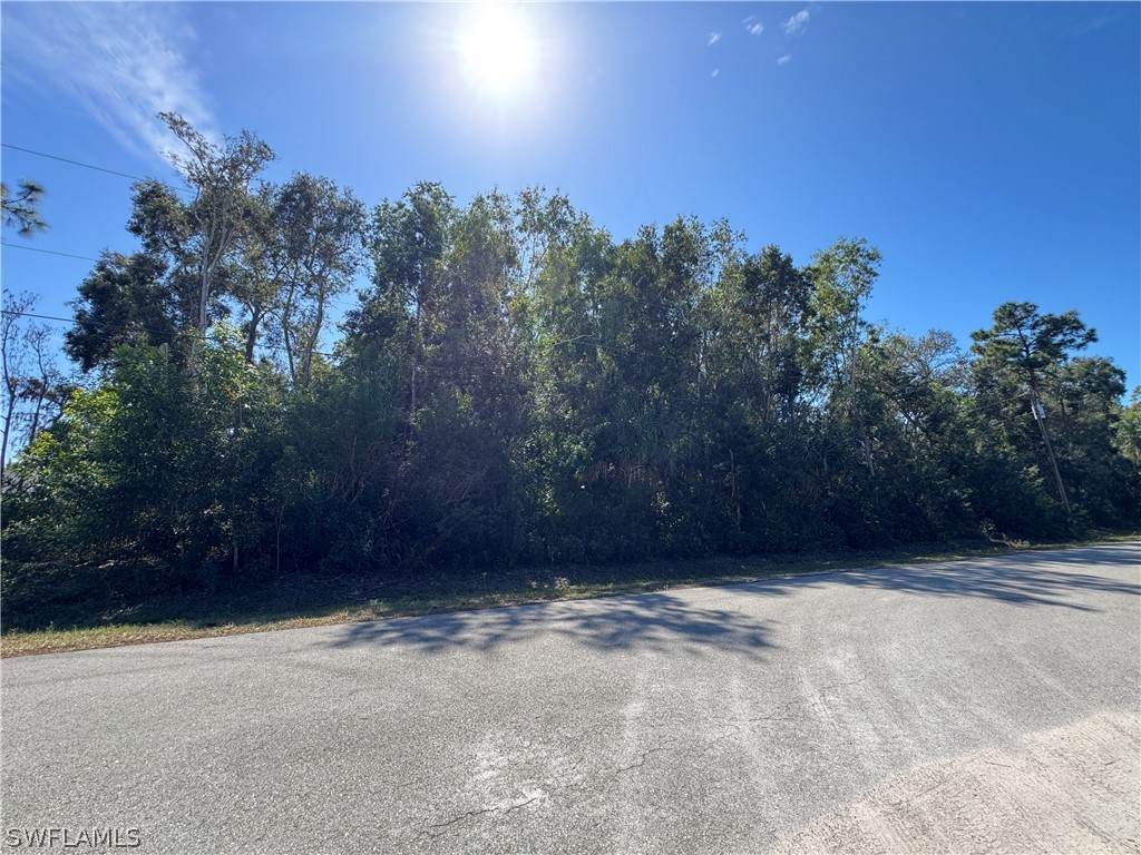 Spanish Oaks Lane Naples FL 34119 226008866 image1