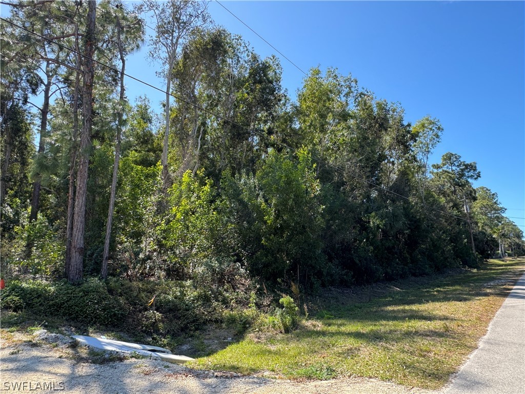 Spanish Oaks Lane Naples FL 34119 226008866 image2