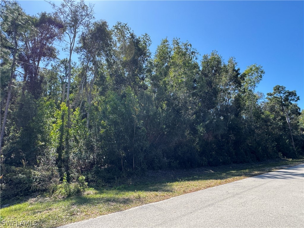 Spanish Oaks Lane Naples FL 34119 226008866 image3