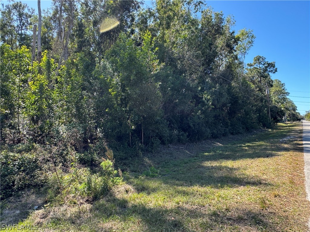 Spanish Oaks Lane Naples FL 34119 226008866 image4