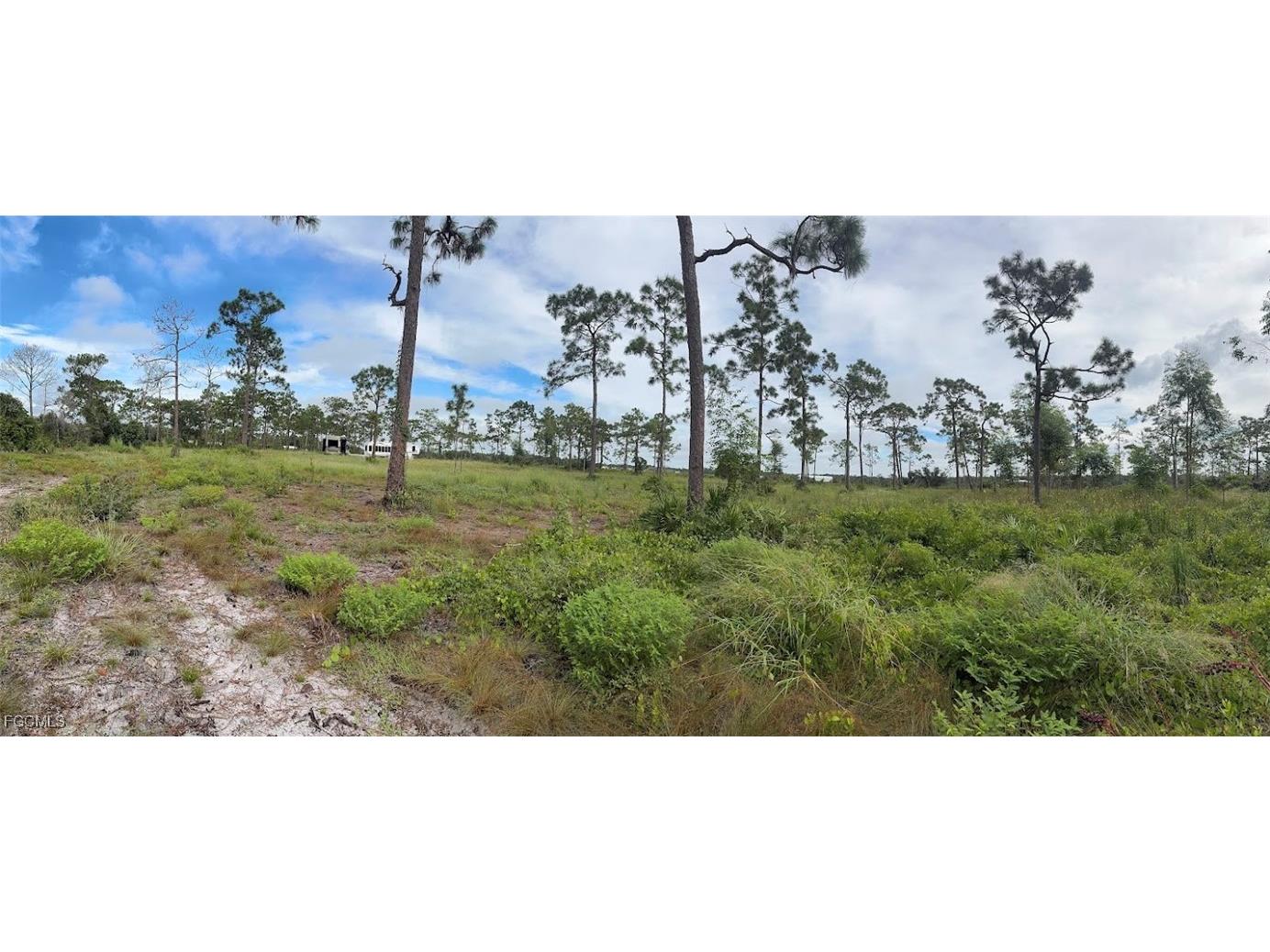 Summerall Road Labelle FL 33935 2025005450 image4