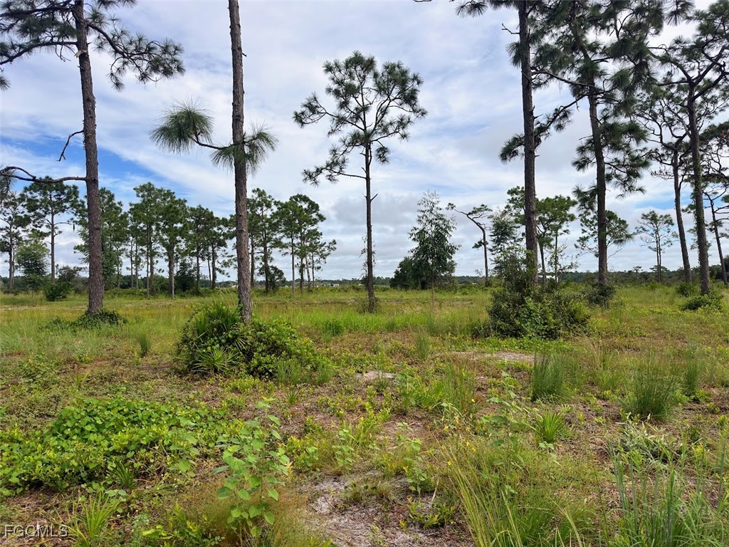 Summerall Road Labelle FL 33935 2025005450 image7