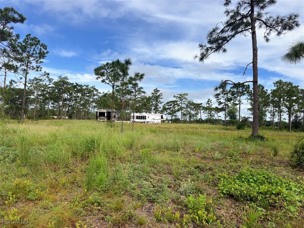 Summerall Road Labelle FL 33935 2025005450 image8