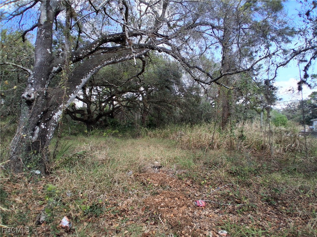 Suwanee Avenue Labelle FL 33935 2026004839 image11