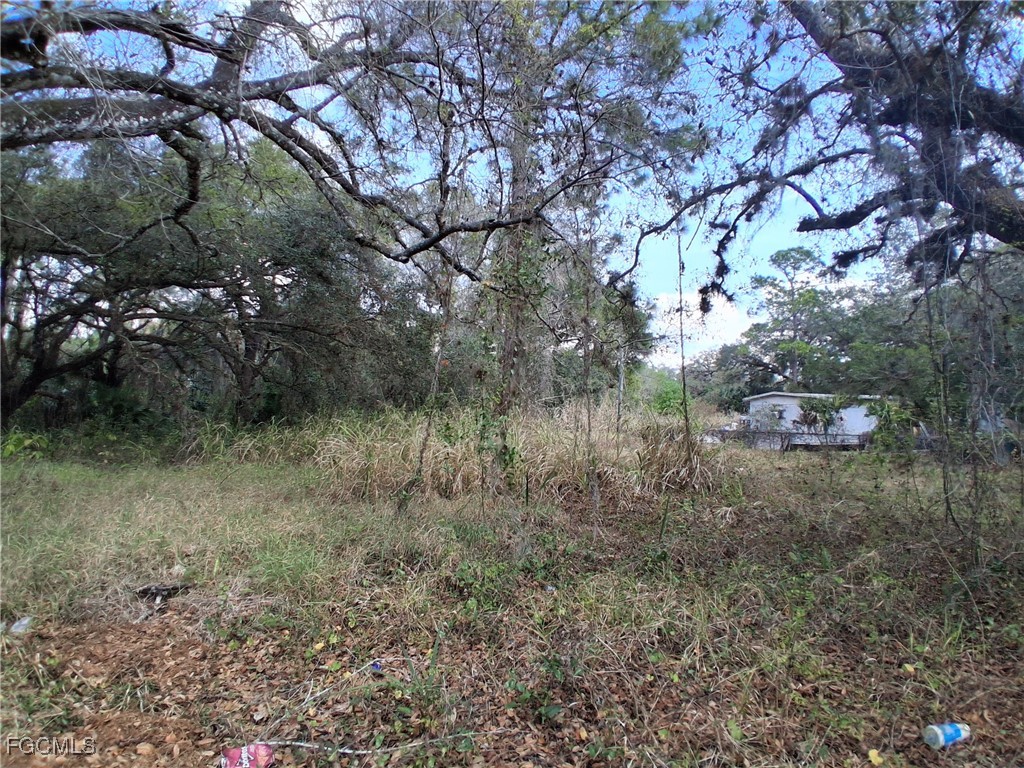 Suwanee Avenue Labelle FL 33935 2026004839 image13