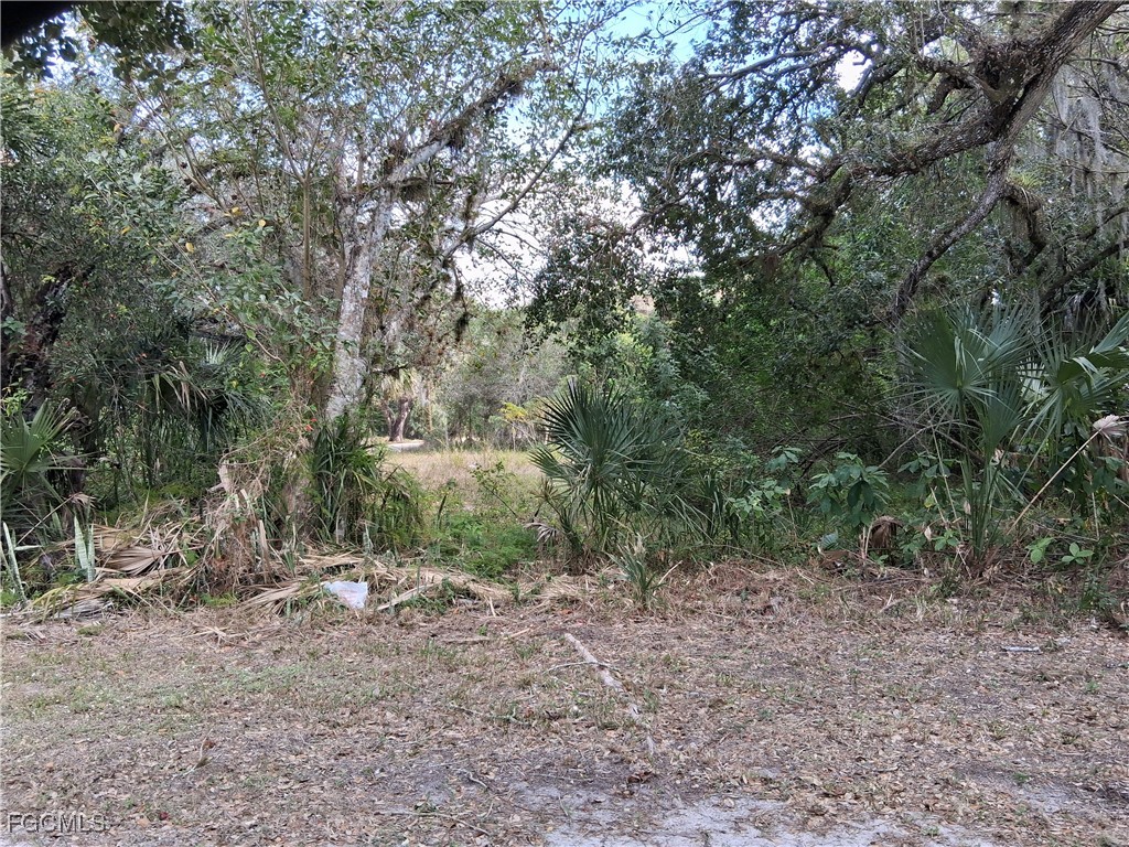 Suwanee Avenue Labelle FL 33935 2026004839 image14