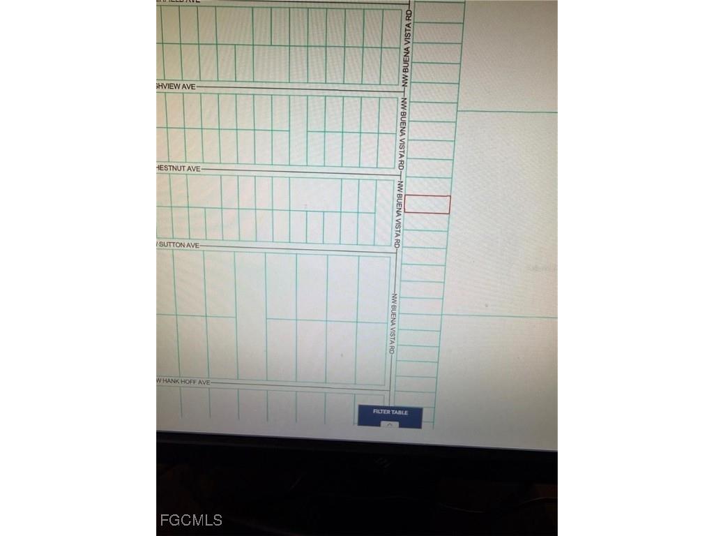 Tbd Nw Buena Vista Road Dunnellon FL 34431 2026004116 image2