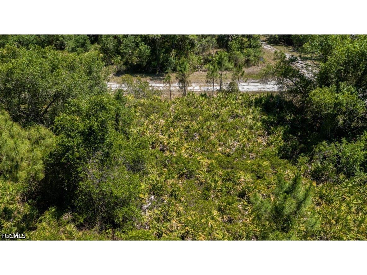 Trolley Road North Port FL 34291 2026021350 image4