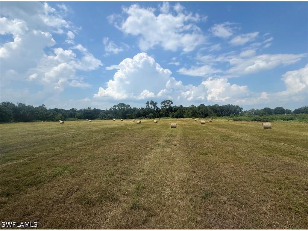  Wauchula FL 33873 226014260 image2