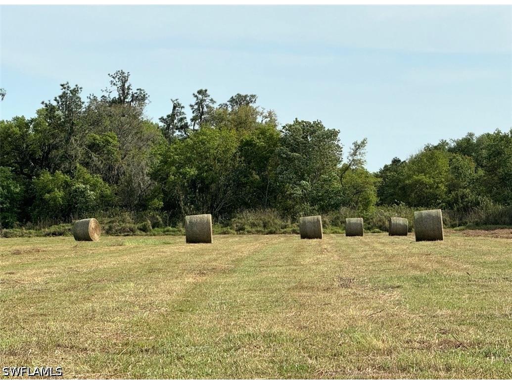  Wauchula FL 33873 226014260 image4