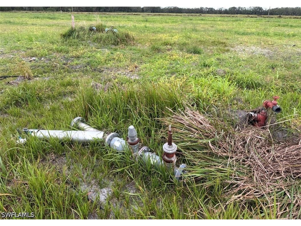  Wauchula FL 33873 226014260 image8