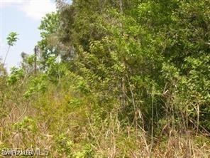 Wild Turkey Drive Naples FL 34120 225007859 image1