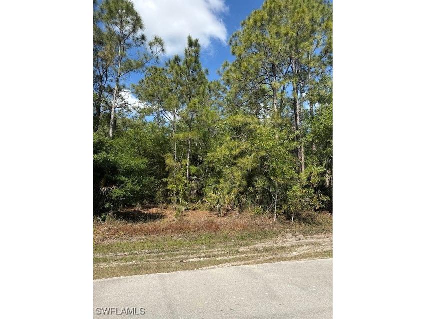 Wilson Boulevard N Naples FL 34120 225026639 image7