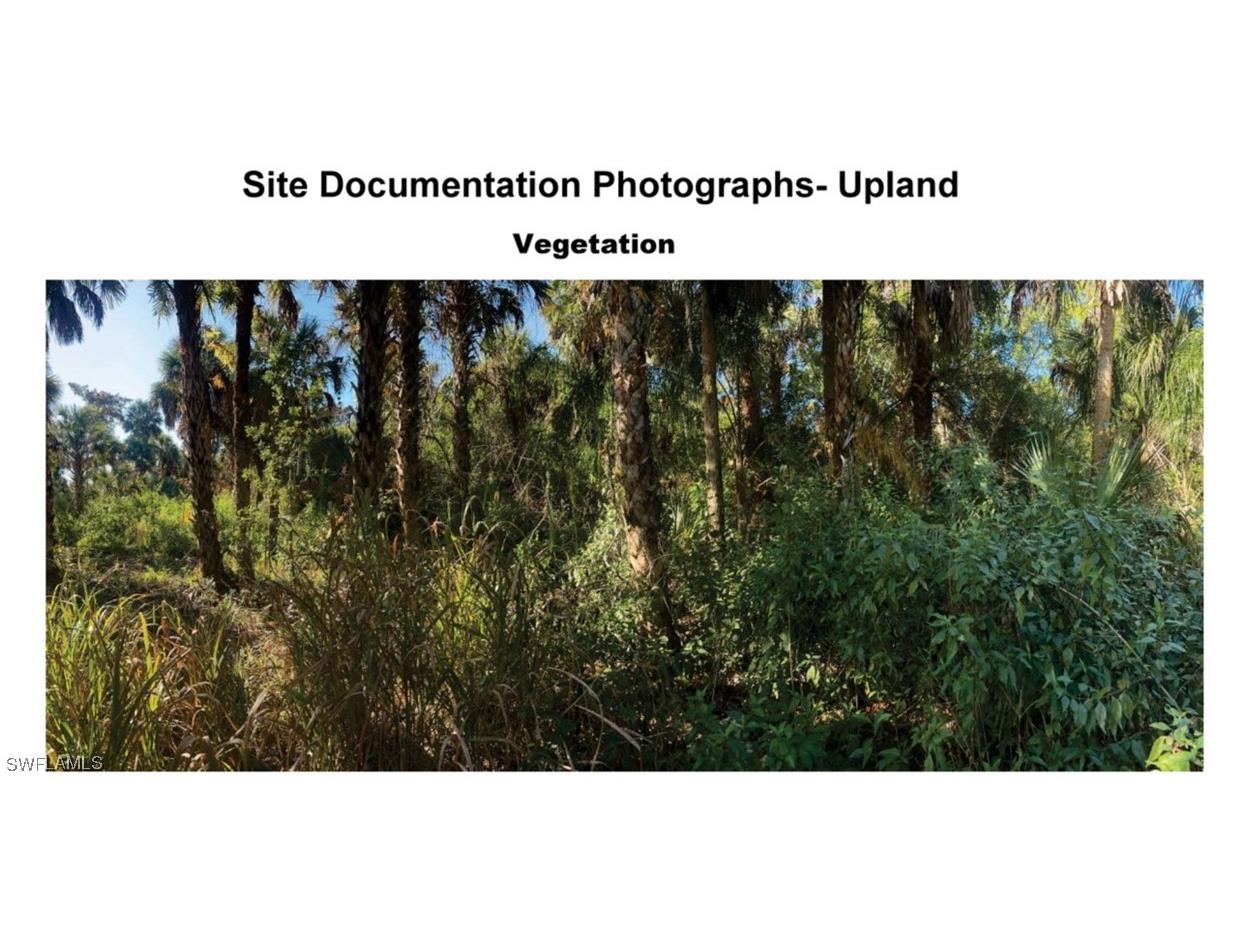 Xxx Cannon Blvd. Naples FL 34120 226000265 image5