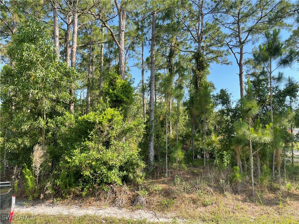 0 29th Ave Everglades Boulevard Naples FL 34120 225082390 image3