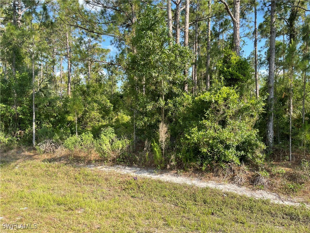 0 29th Ave Everglades Boulevard Naples FL 34120 225082390 image4