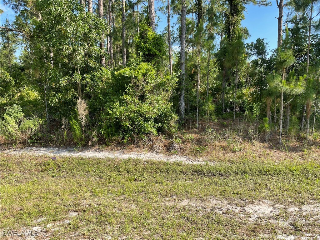 0 29th Ave Everglades Boulevard Naples FL 34120 225082390 image5