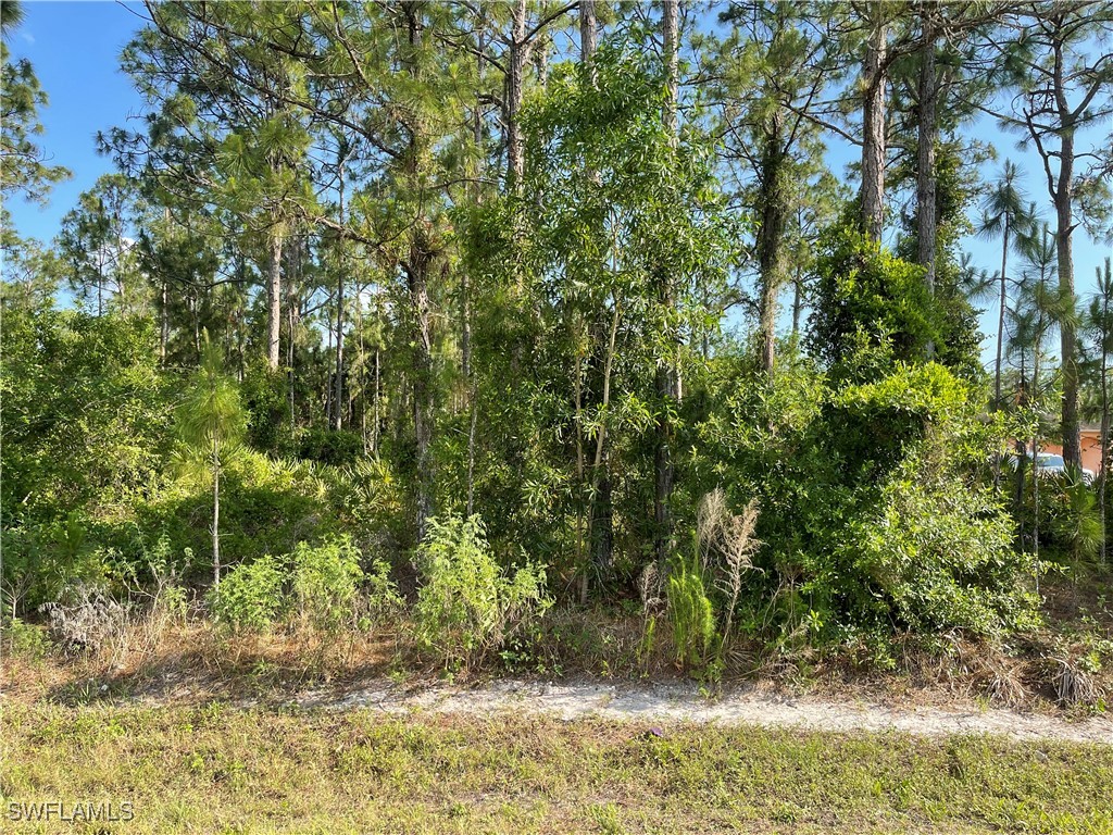 0 29th Ave Everglades Boulevard Naples FL 34120 225082390 image6