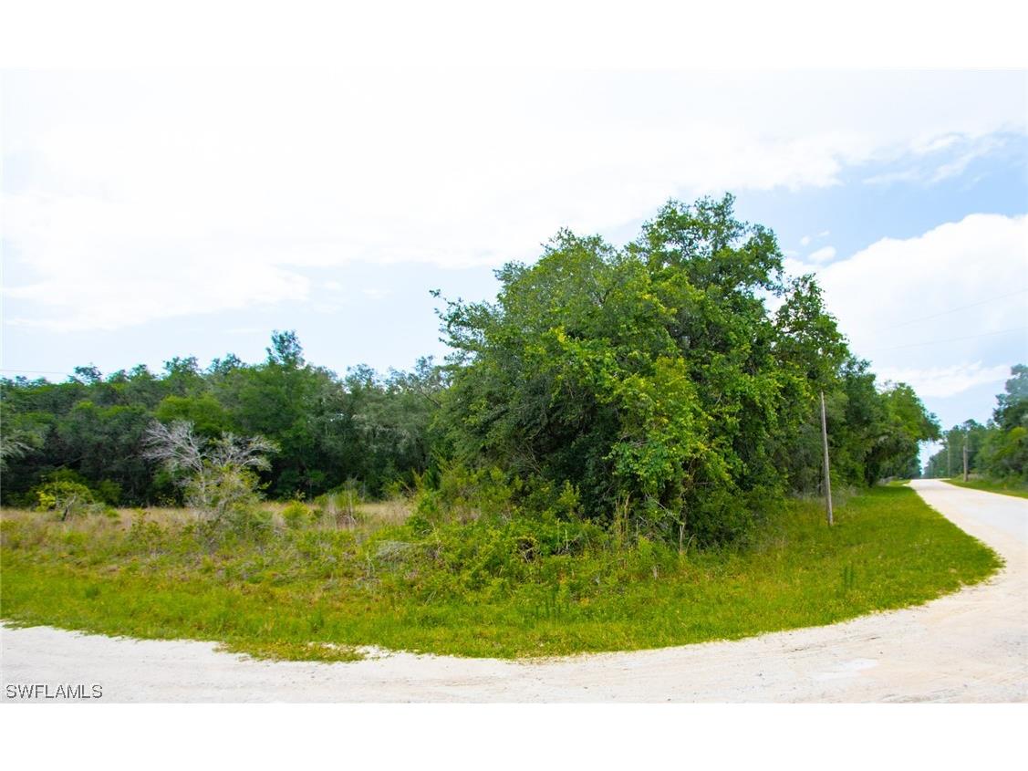 0 Alloy Street Webster FL 33597 223046194 image1