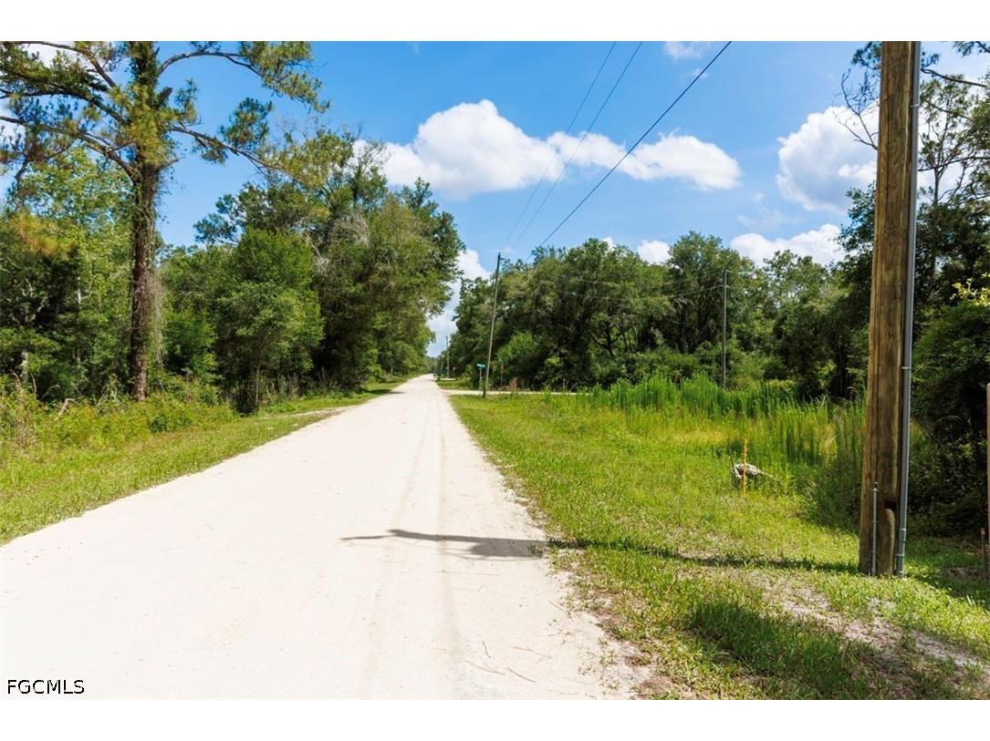 0 Bigelow Avenue Webster FL 33597 2026023681 image29