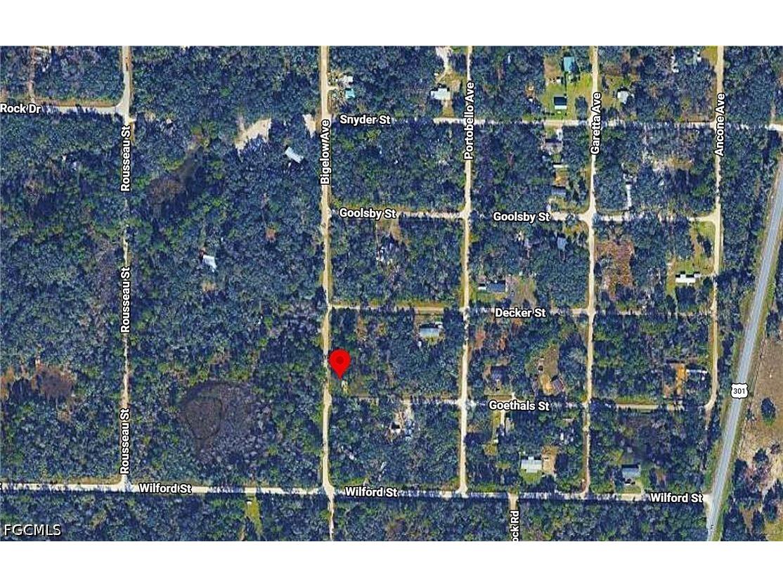 0 Bigelow Avenue Webster FL 33597 2026023681 image5