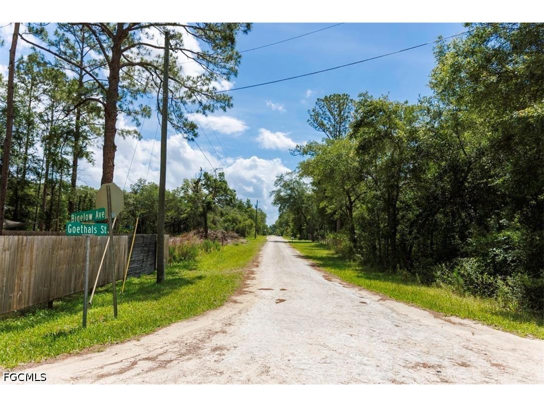 0 Bigelow Avenue Webster FL 33597 2026023681 image6