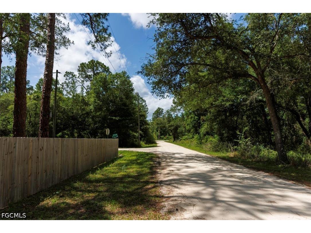 0 Bigelow Avenue Webster FL 33597 2026023681 image7
