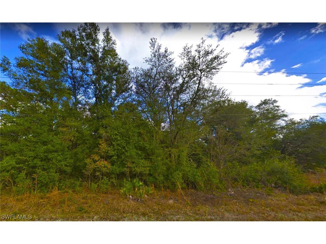 0 Glenchester Drive Webster FL 33597 223053099 image1