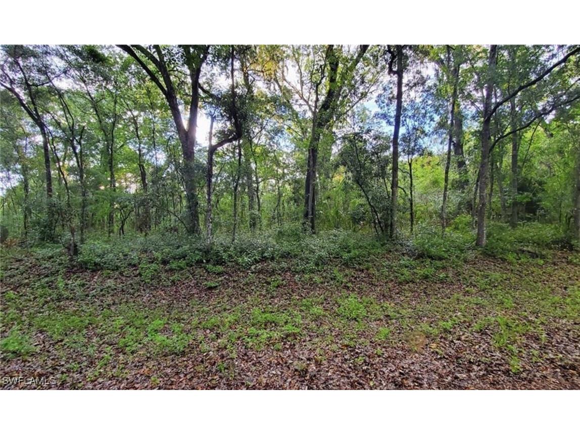 0 Kenyon Drive Webster FL 33597 225053915 image1