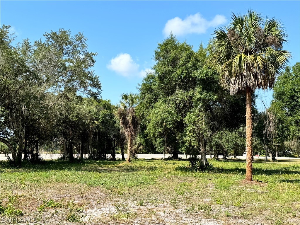 0 Magnolia Avenue Labelle FL 33935 224058486 image5