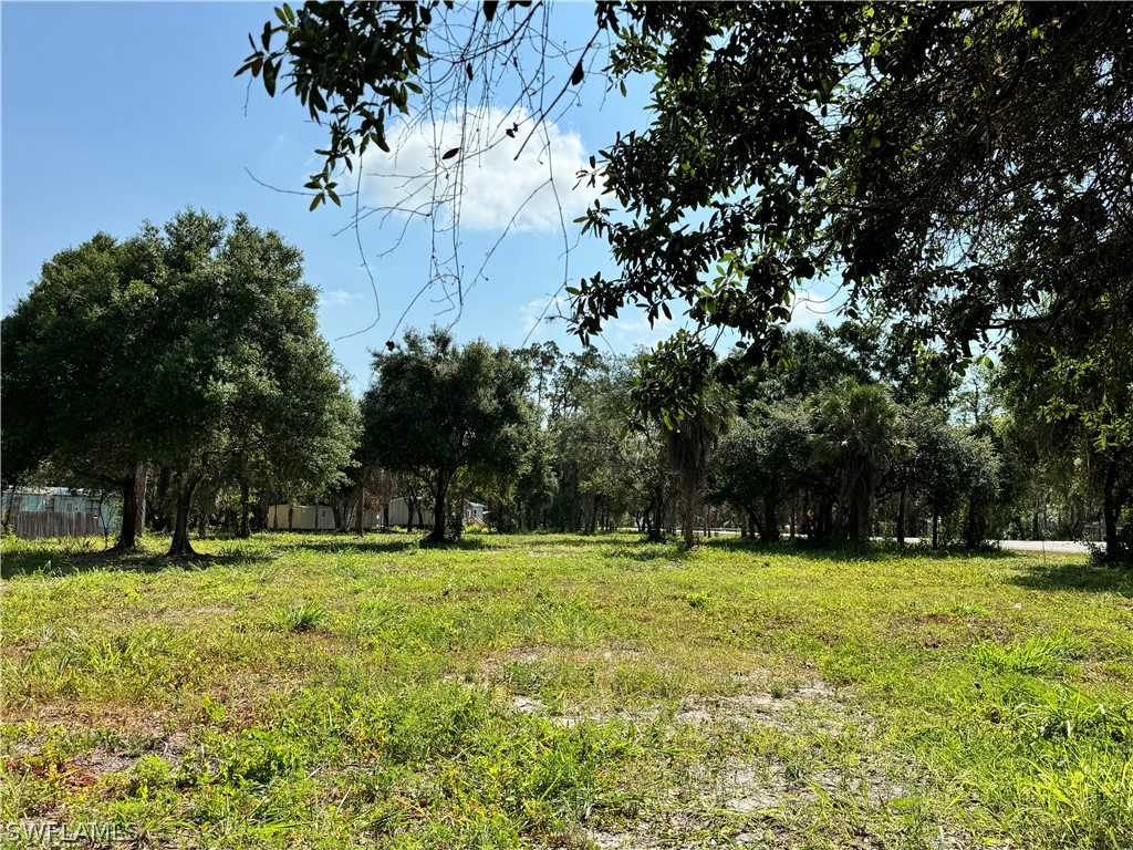 0 Magnolia Avenue Labelle FL 33935 224058486 image6