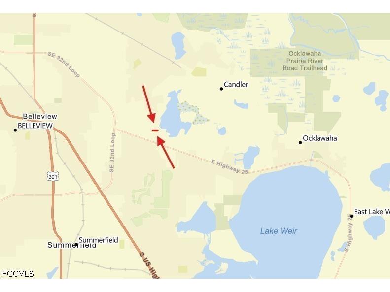 0 SE 92 Court Bellview FL 34420 2026026543 image4