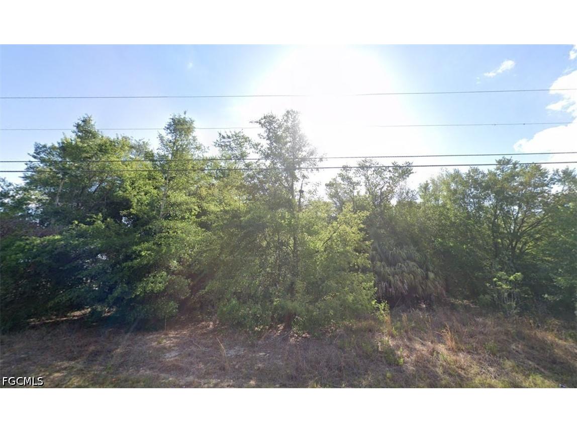 0 SE 92 Court Bellview FL 34420 2026026543 image5