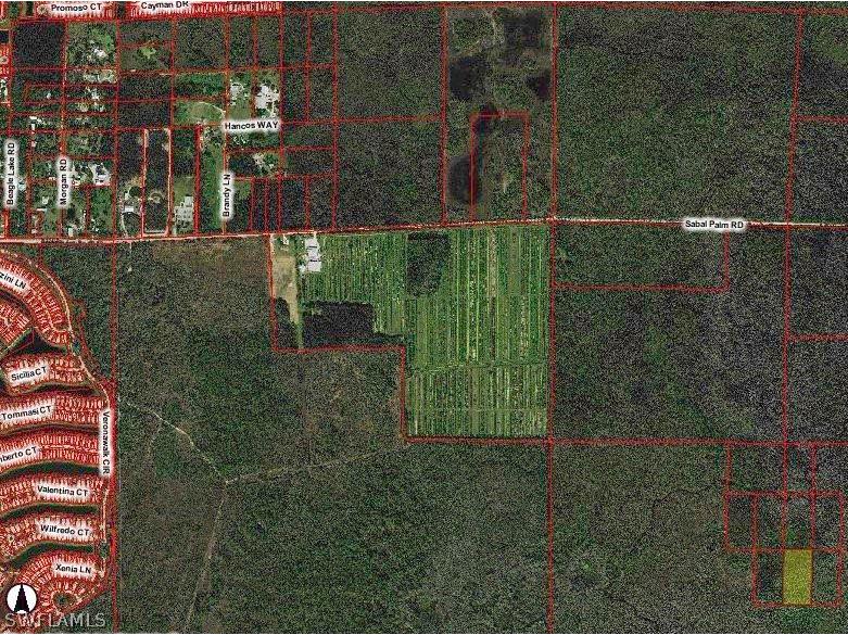0 South Of Sabal Palm Road Naples FL 34114 224034412 image1