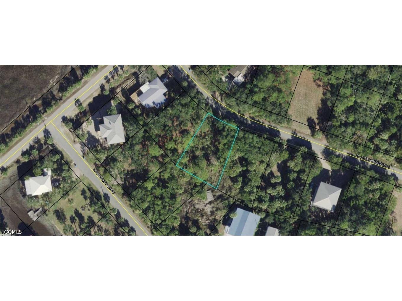 00-00-121-117-12199-057 Blue Dolphin Drive Crawfordville FL 32327 2026016172 image1