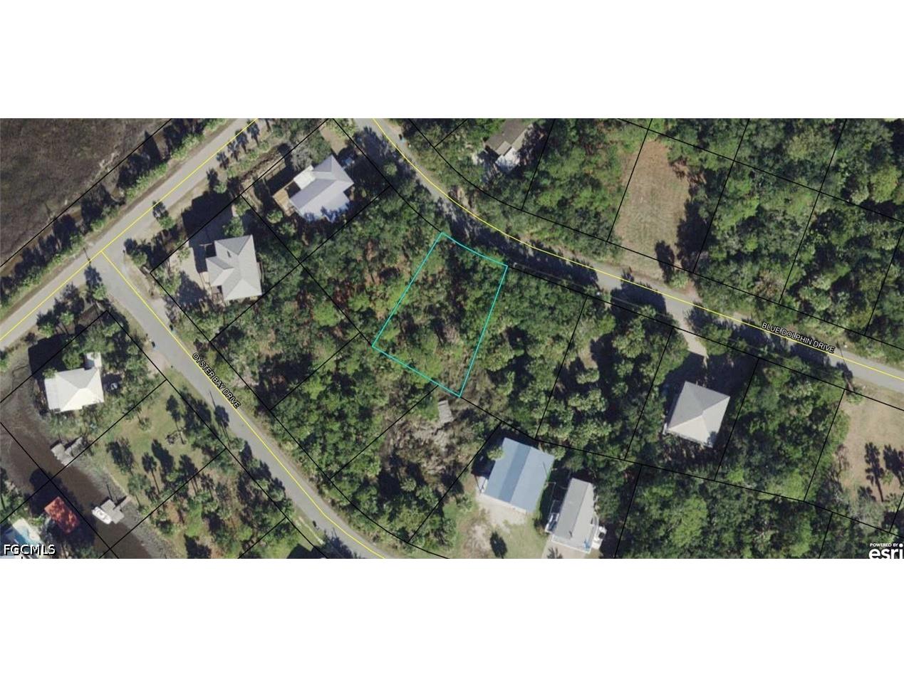 00-00-121-117-12199-057 Blue Dolphin Drive Crawfordville FL 32327 2026029428 image1