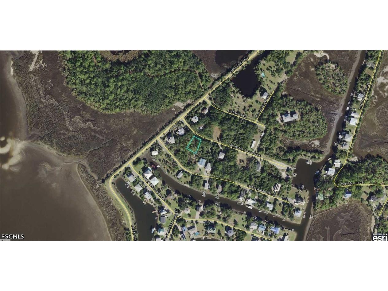 00-00-121-117-12199-057 Blue Dolphin Drive Crawfordville FL 32327 2026029428 image2