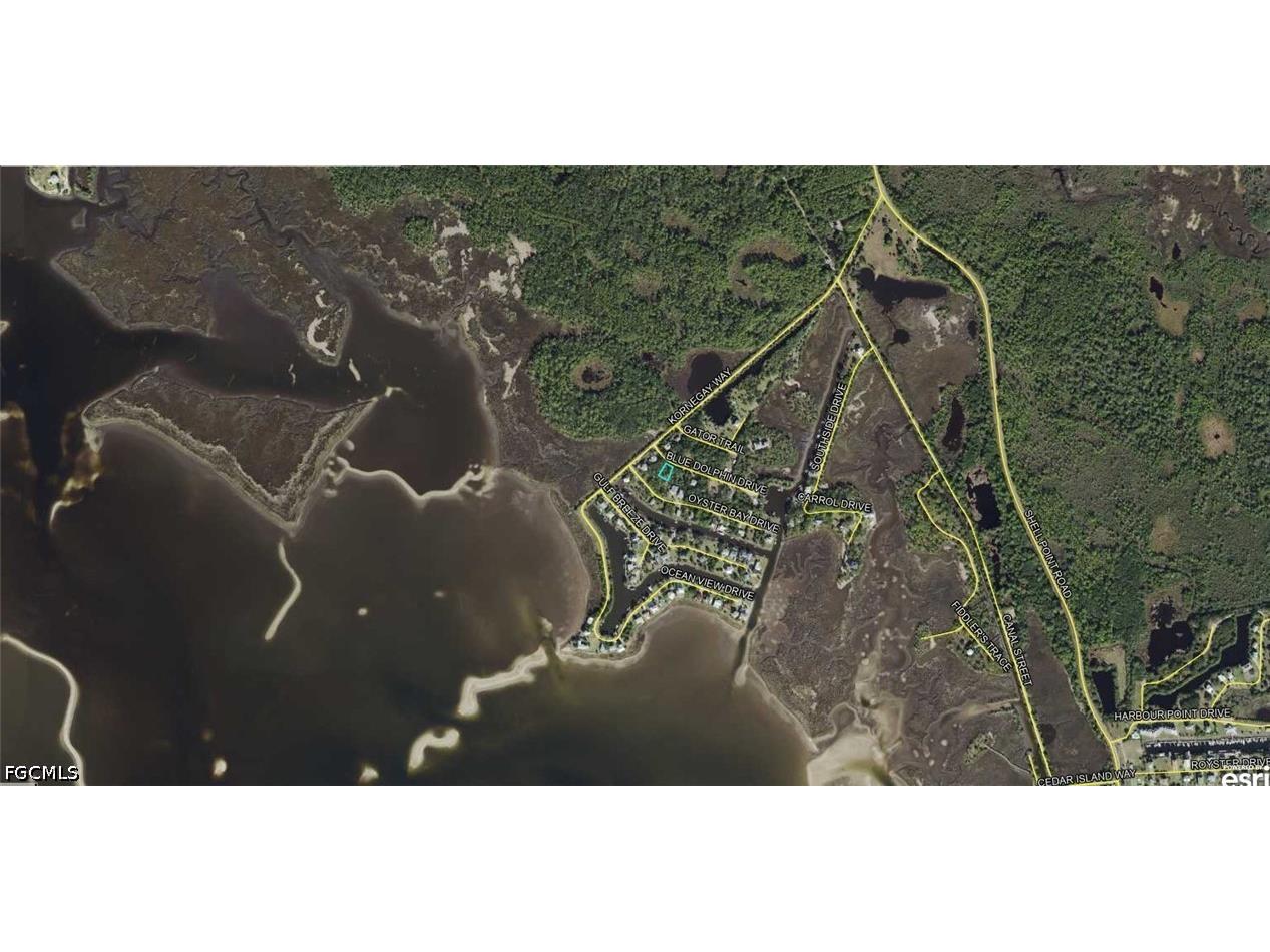 00-00-121-117-12199-057 Blue Dolphin Drive Crawfordville FL 32327 2026029428 image3
