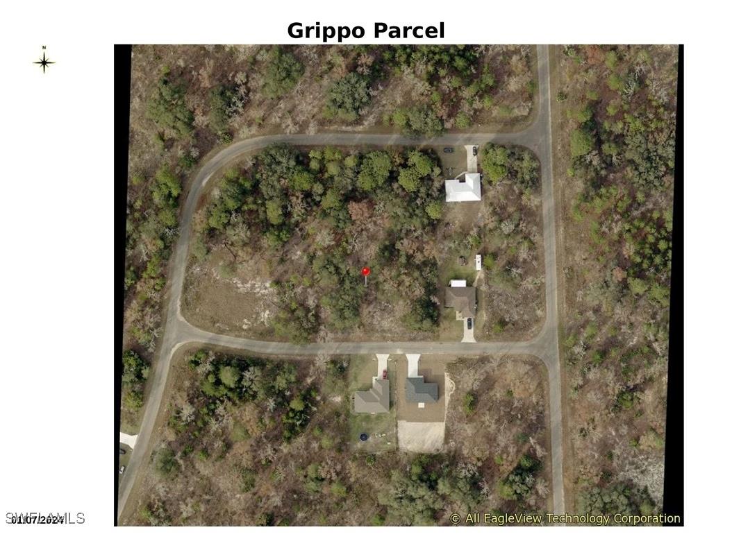 000 Guava Place Pass Ocklawaha FL 32179 224066728 image1