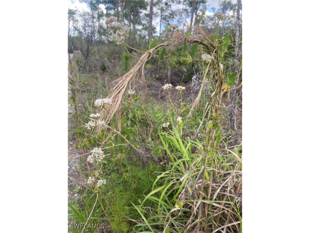 0000 44 Street NE Naples FL 34120 225055819 image1