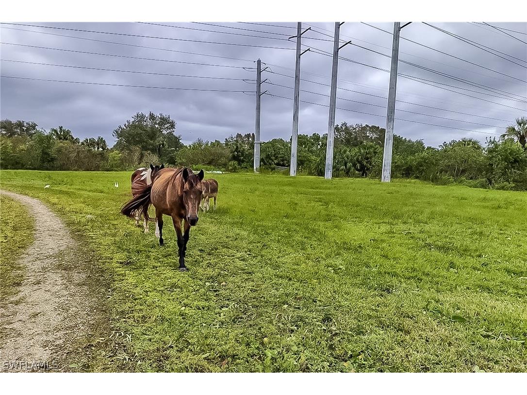 0000 Cutting Horse Lane Bonita Springs FL 34135 226010386 image11