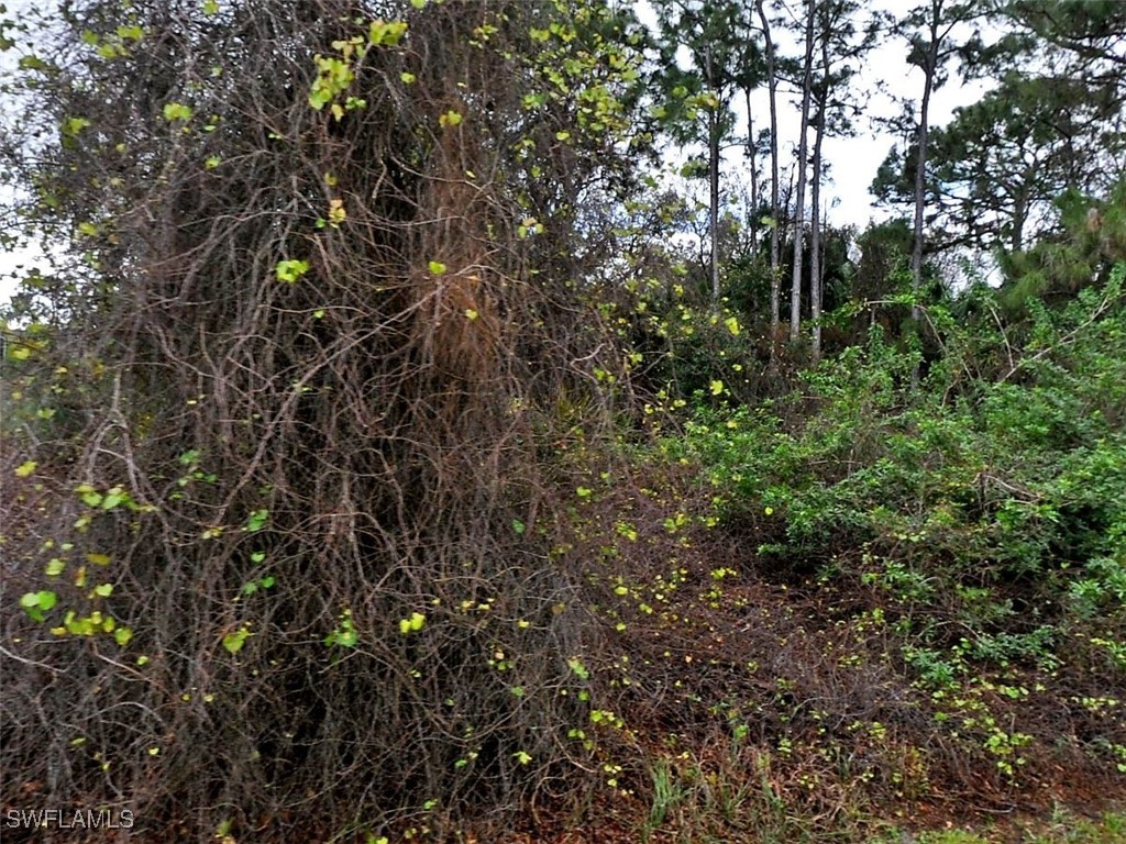 0000 Wenona Drive North Port FL 34288 225030172 image1