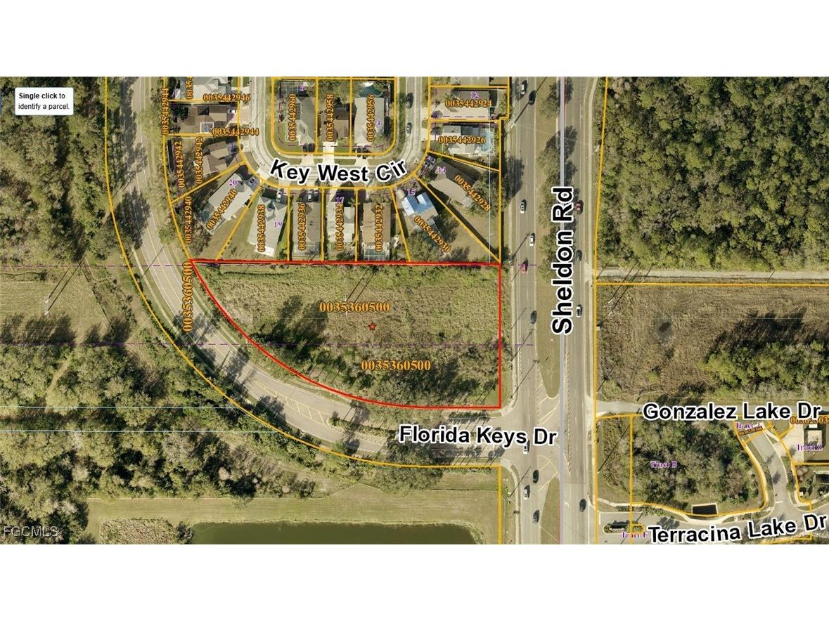 003536-0500 Fawn Ridge Boulevard Tampa FL 33626 2025021632 image1