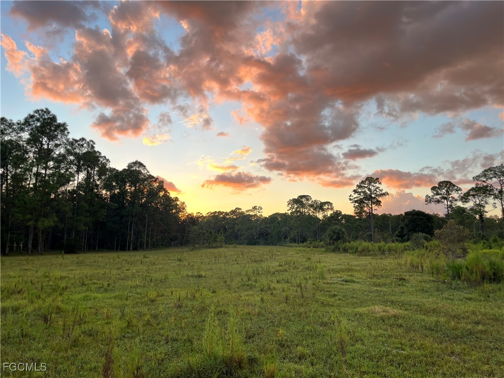 007 Misty Morning Lane Fort Myers FL 33913 2025015568 image16
