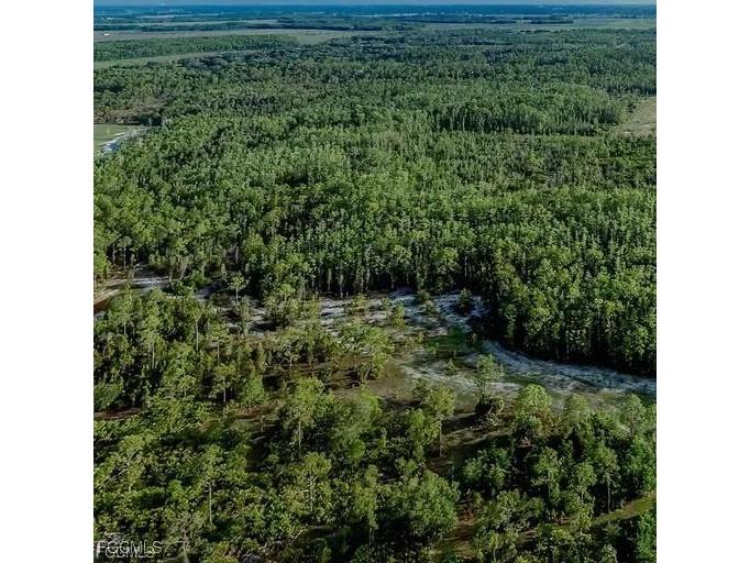 007 Misty Morning Lane Fort Myers FL 33913 2025015568 image23