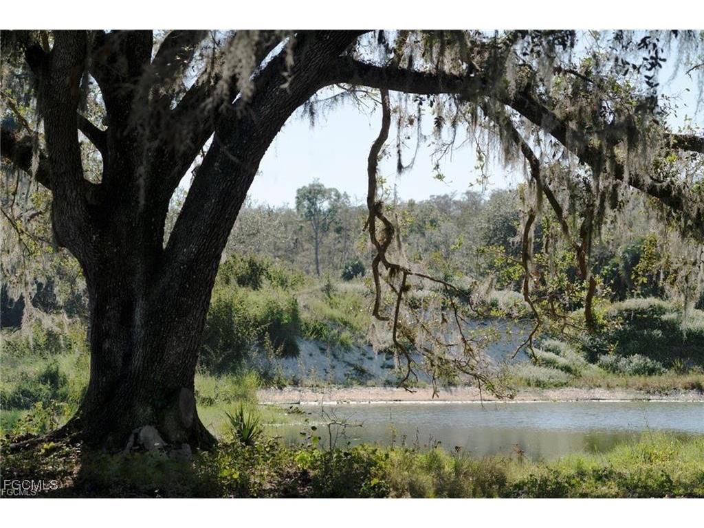 007 Misty Morning Lane Fort Myers FL 33913 2025015568 image27