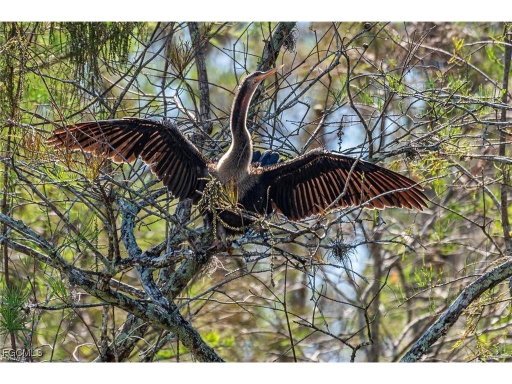 007 Misty Morning Lane Fort Myers FL 33913 2025015568 image28