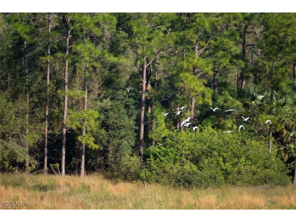 007 Misty Morning Lane Fort Myers FL 33913 2025015568 image29